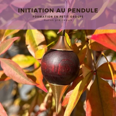 Initiation au pendule